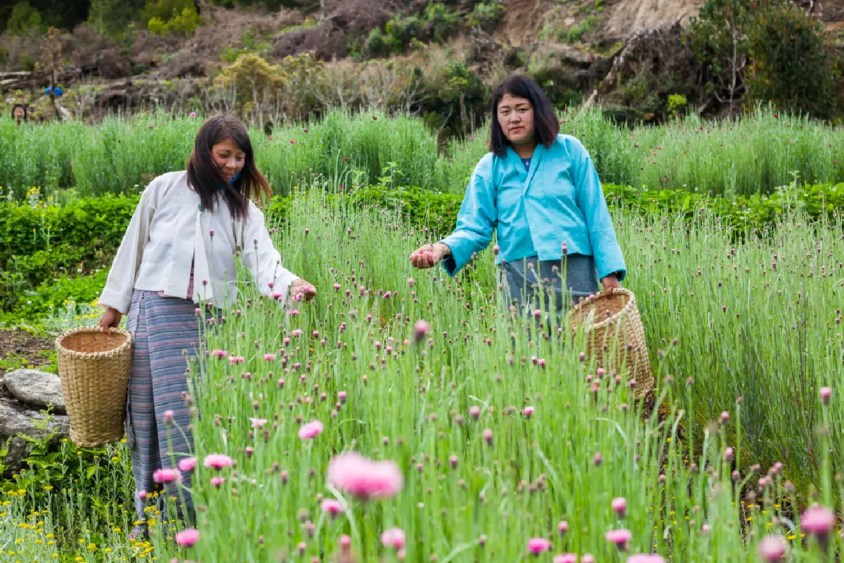 Drachukha Flower Group, Punakha images-03