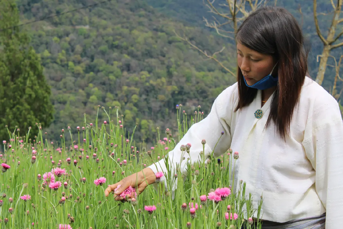 Drachukha Flower Group, Punakha images-05