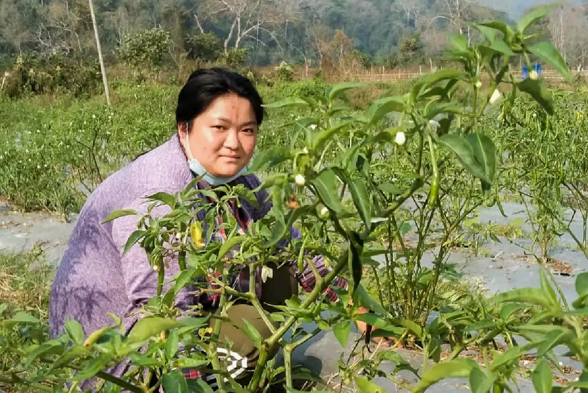 Panbang Youth Cooperative, Zhemgang images-09