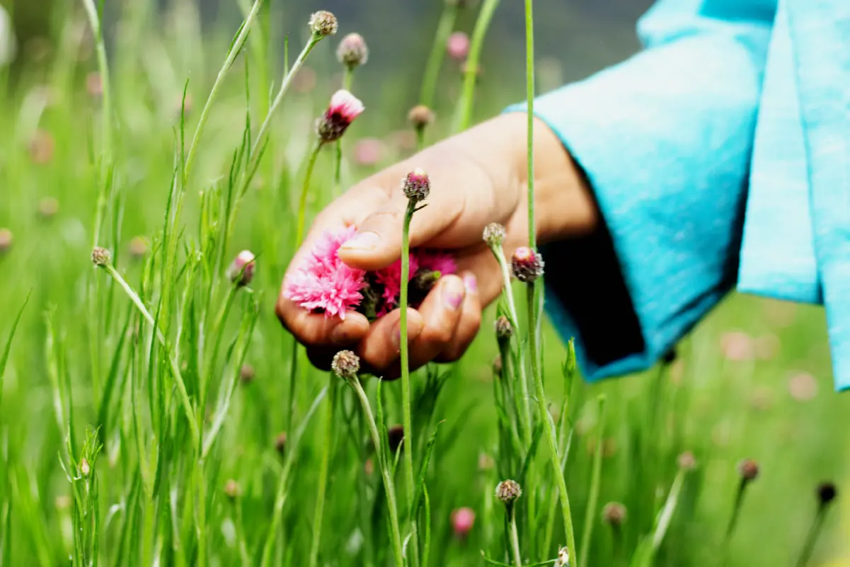 Punakha images-02