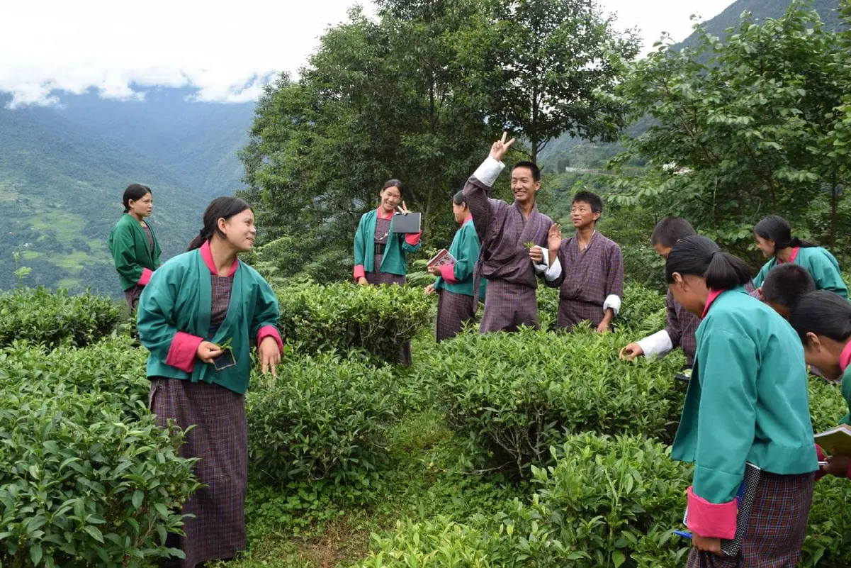Samcholing Tea Cooperative, Trongsa images-06