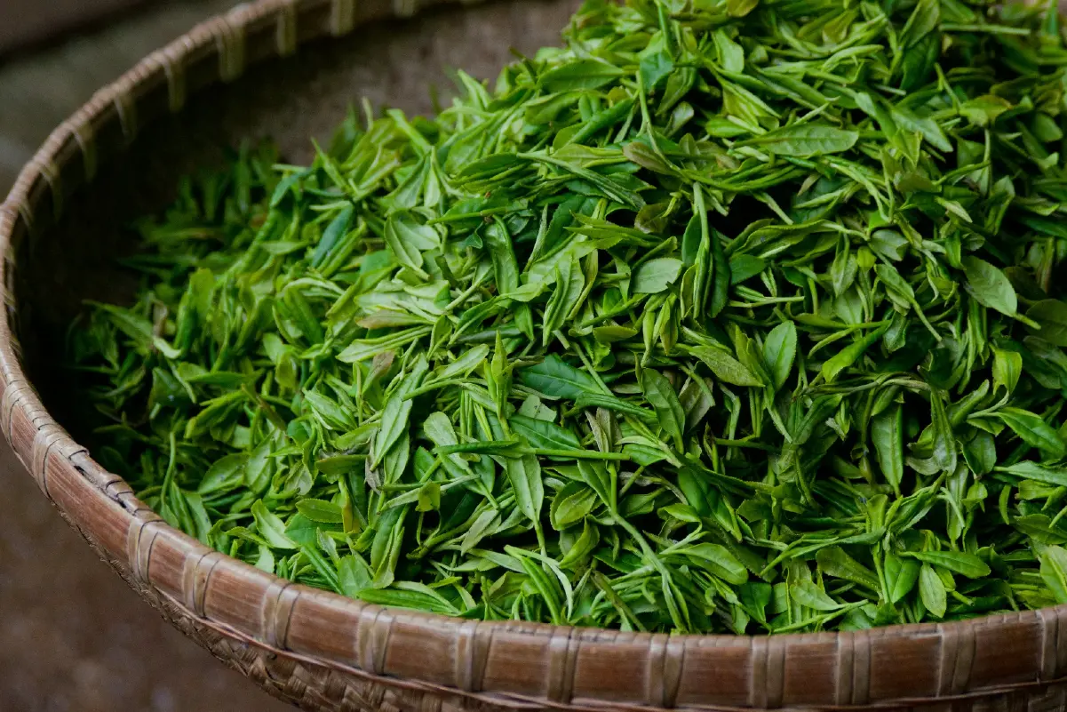 Samcholing Tea Cooperative, Trongsa images-07