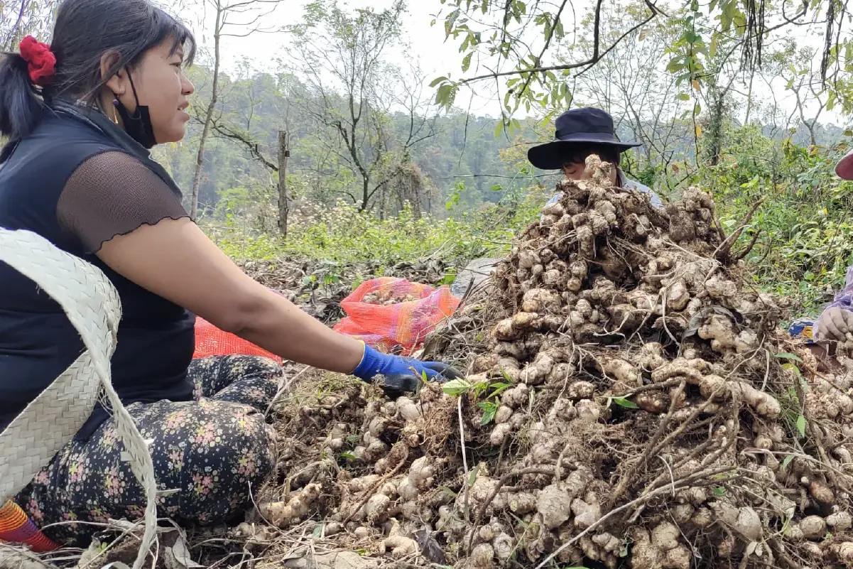 Tashithang Biodynamic Group, Sarpang images-04