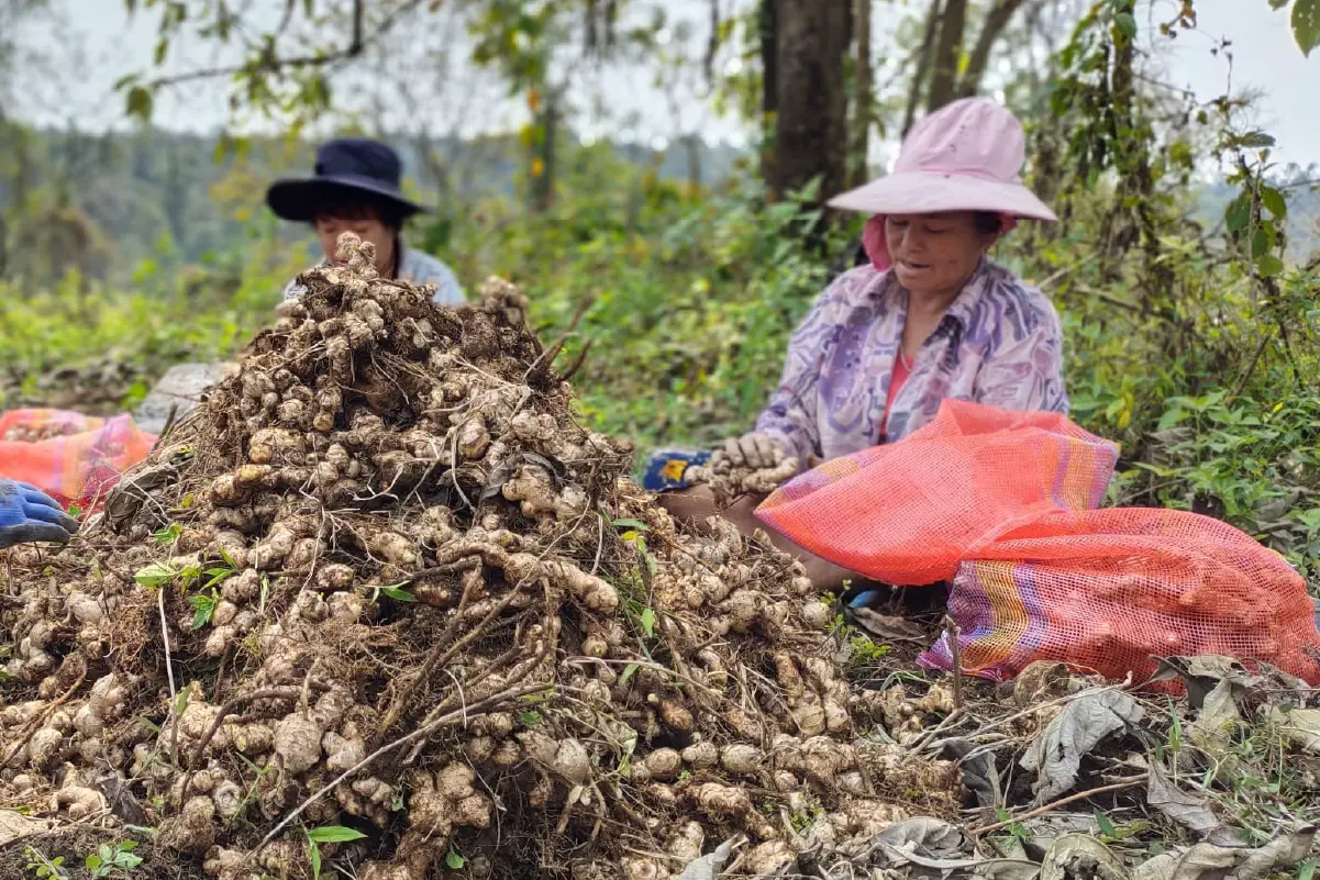 Tashithang Biodynamic Group, Sarpang images-05