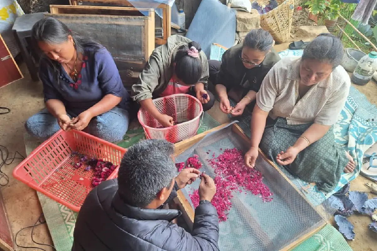 Thakhorling Organic Group, Tsirang images-02