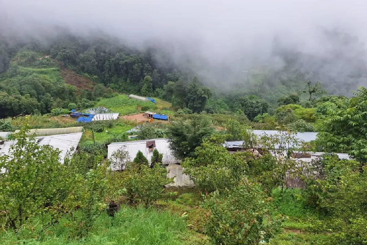 Thakhorling Organic Group, Tsirang images-07